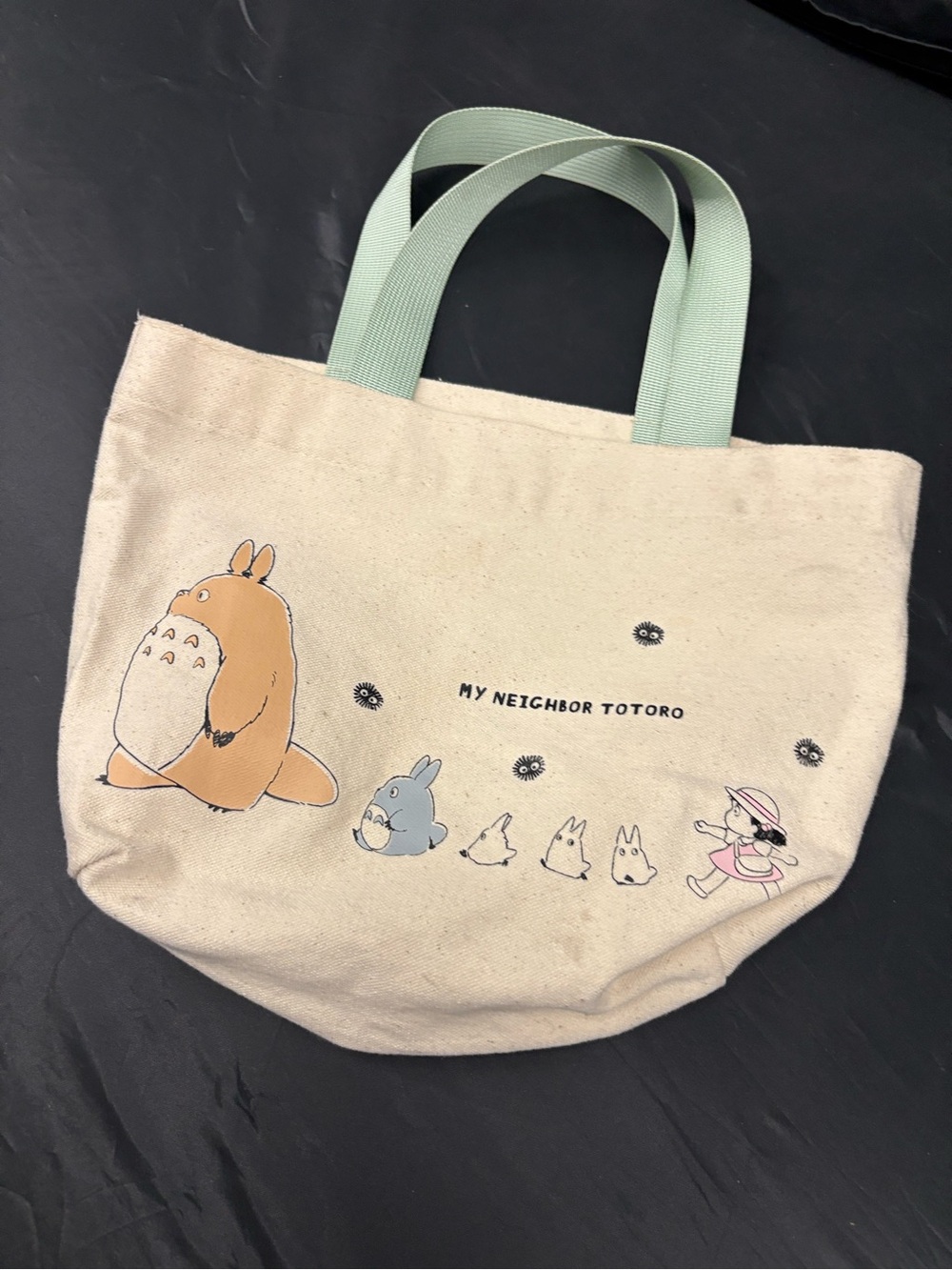 My Neighbor Totoro Small Canvas Tote with Mint Handles